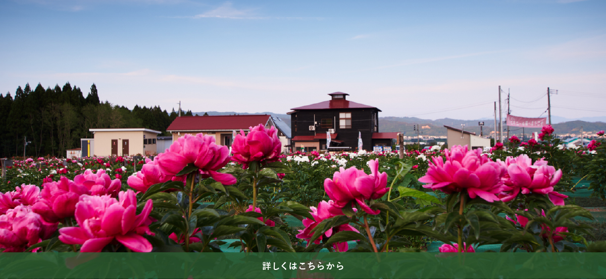 花壇