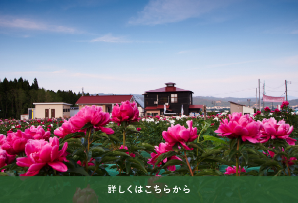 花壇