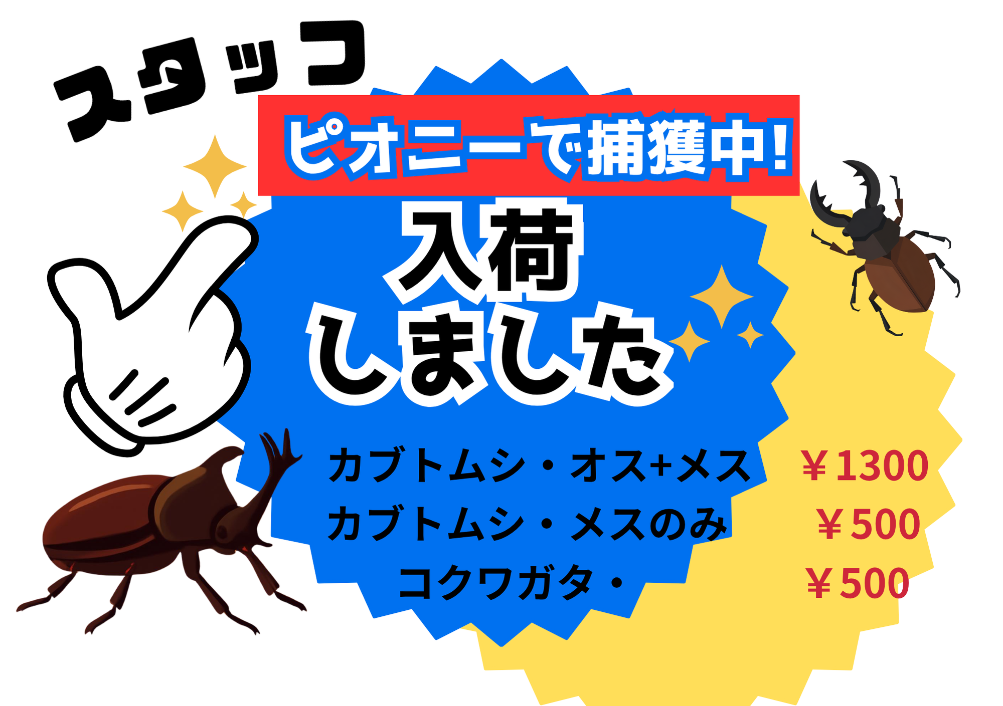 カブトムシ＆クワガタ　販売いたします❣