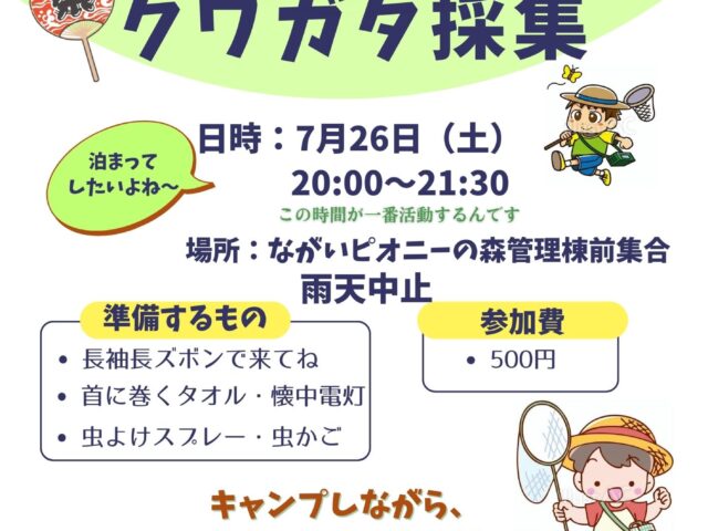 ピオニーの森 クワガタ採集