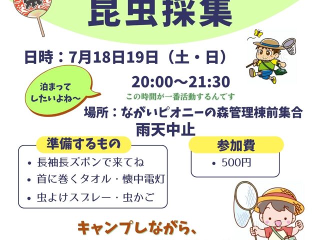 ピオニーの森　昆虫採集