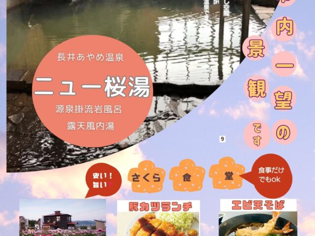 市内一望の景観・ニュー桜湯